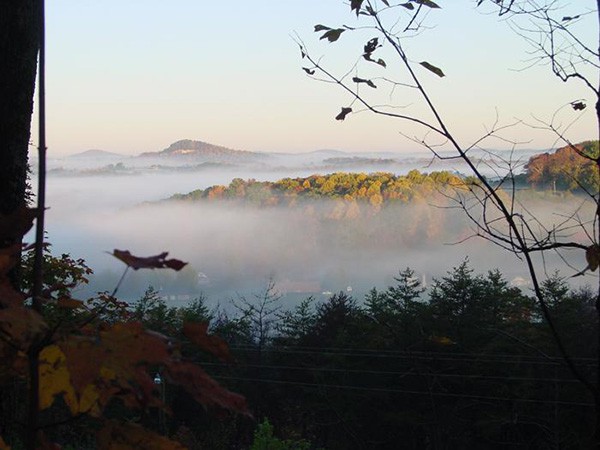 View With Fog and Fall Foliage